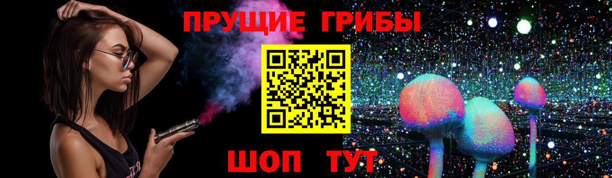 Алатырь  Галлюциногенные грибы Psilocybine cubensis  Вход с VPN 